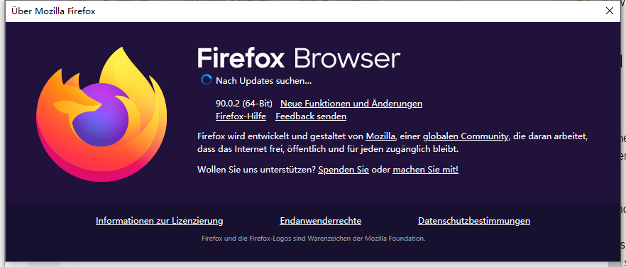 Firefox spielt Videos nicht ab
